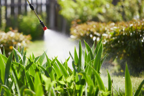 24/7 Emergency Wasp Removal experts in Evergreen Park, IL